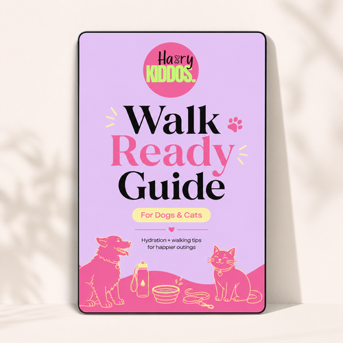 Pet Walk Essentials Guide