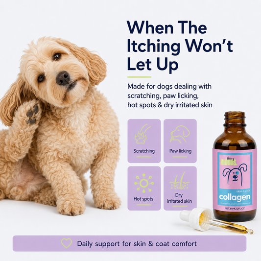 Hairy Kiddos Premium Collagen Drops