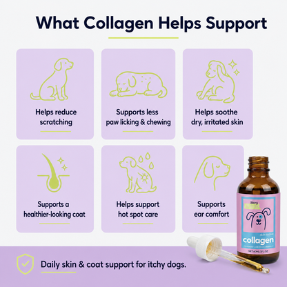 Hairy Kiddos Premium Collagen Drops