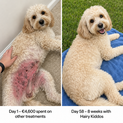 Hairy Kiddos Premium Collagen Drops