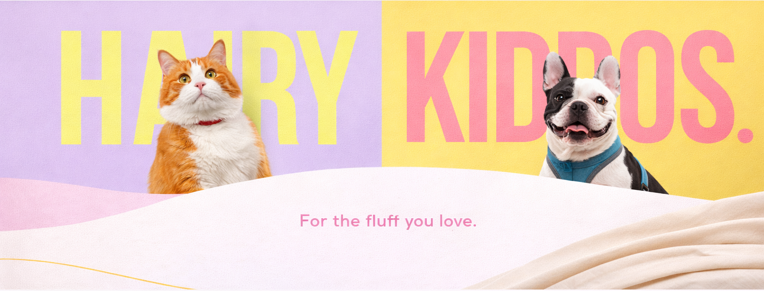 Two cats on a bed with 'Harry Kiddos' branding in the background