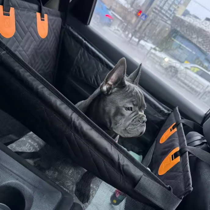 Dog sitting in a car seat cover with orange accents, looking out the window.